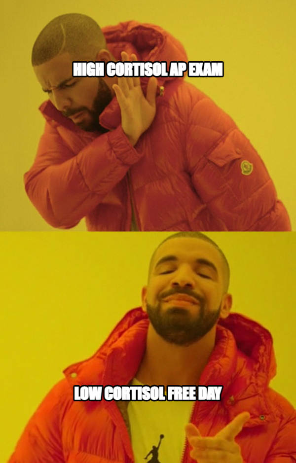 Drakeposting meme — High cortisol Ap Exam low cortisol free day