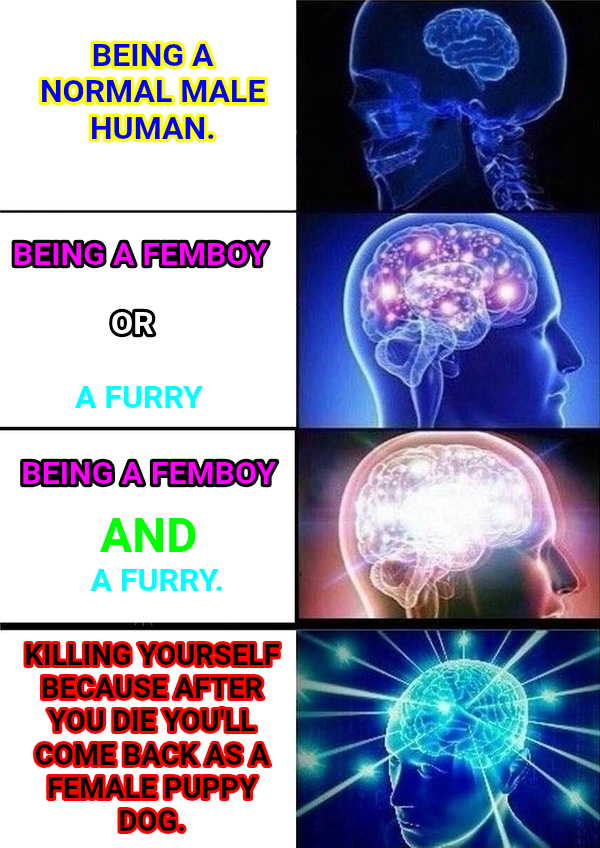 Galaxy Brain meme — Being a Normal male human. Being a Femboy Killing yourself because after you die you'll come back as a female puppy