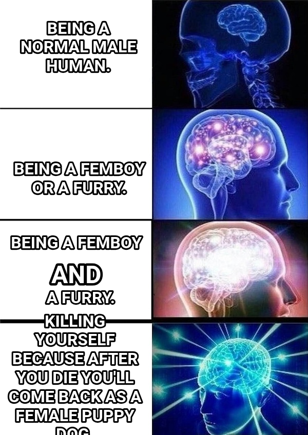 Galaxy Brain meme — Being a Normal male human. Being a Femboy or a furry. Killing yourself because after you die you'll come back as a