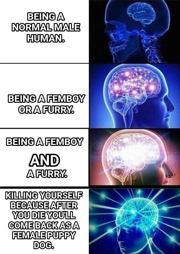 Galaxy Brain meme — Being a Normal male human. Being a Femboy or a furry. Killing yourself because after you die you'll come back as a