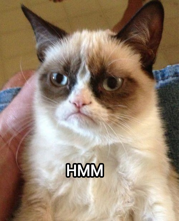 Grumpy Cat meme — hmm