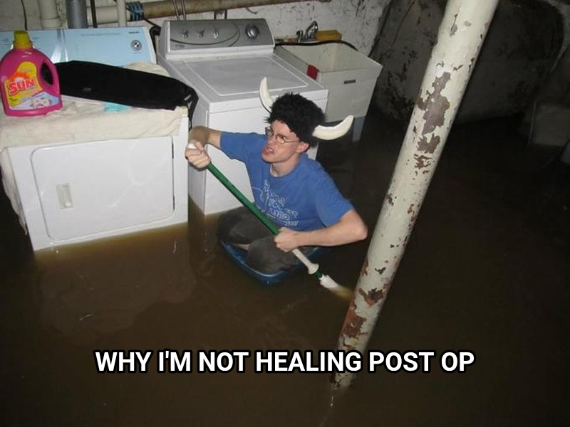 Laundry Room Viking meme — Why I'm not healing post op