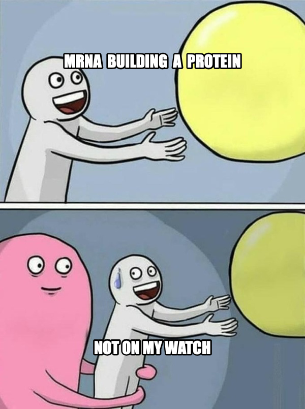 Running Away Balloon meme — mrna  building  a  protein not on my watch