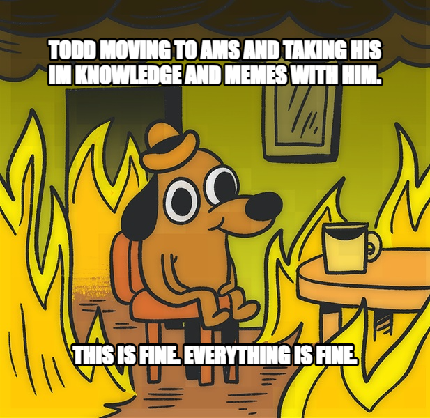 This is Fine meme — TOdd moving to ams and taking his im knowledge and memes with him. this is fine. everything is fine.