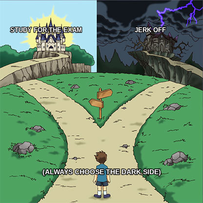 Two Paths meme — Study for the exam                           Jerk off (always choose the dark side)