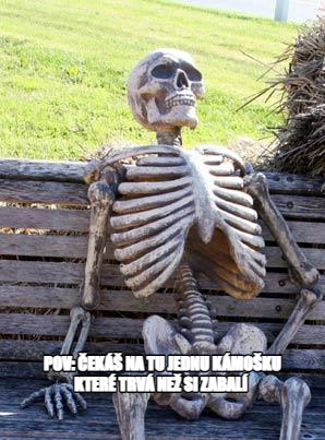 Waiting Skeleton meme — POV: Čekáš na tu jednu kámošku které trvá než si zabalí