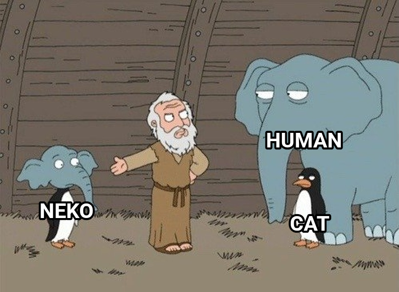 What the Hell is This? meme — Human Cat Neko