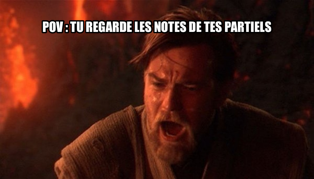 You Were the Chosen One! meme — POV : Tu regarde les notes de tes partiels