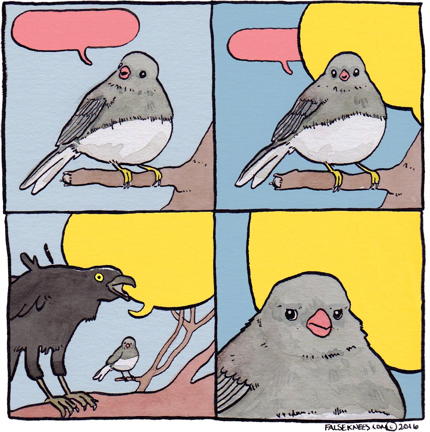 Annoyed Bird meme template blank