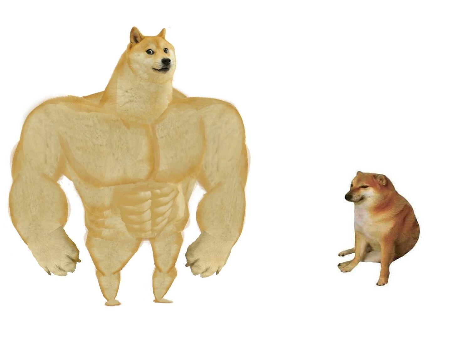 Big dog small dog meme template blank