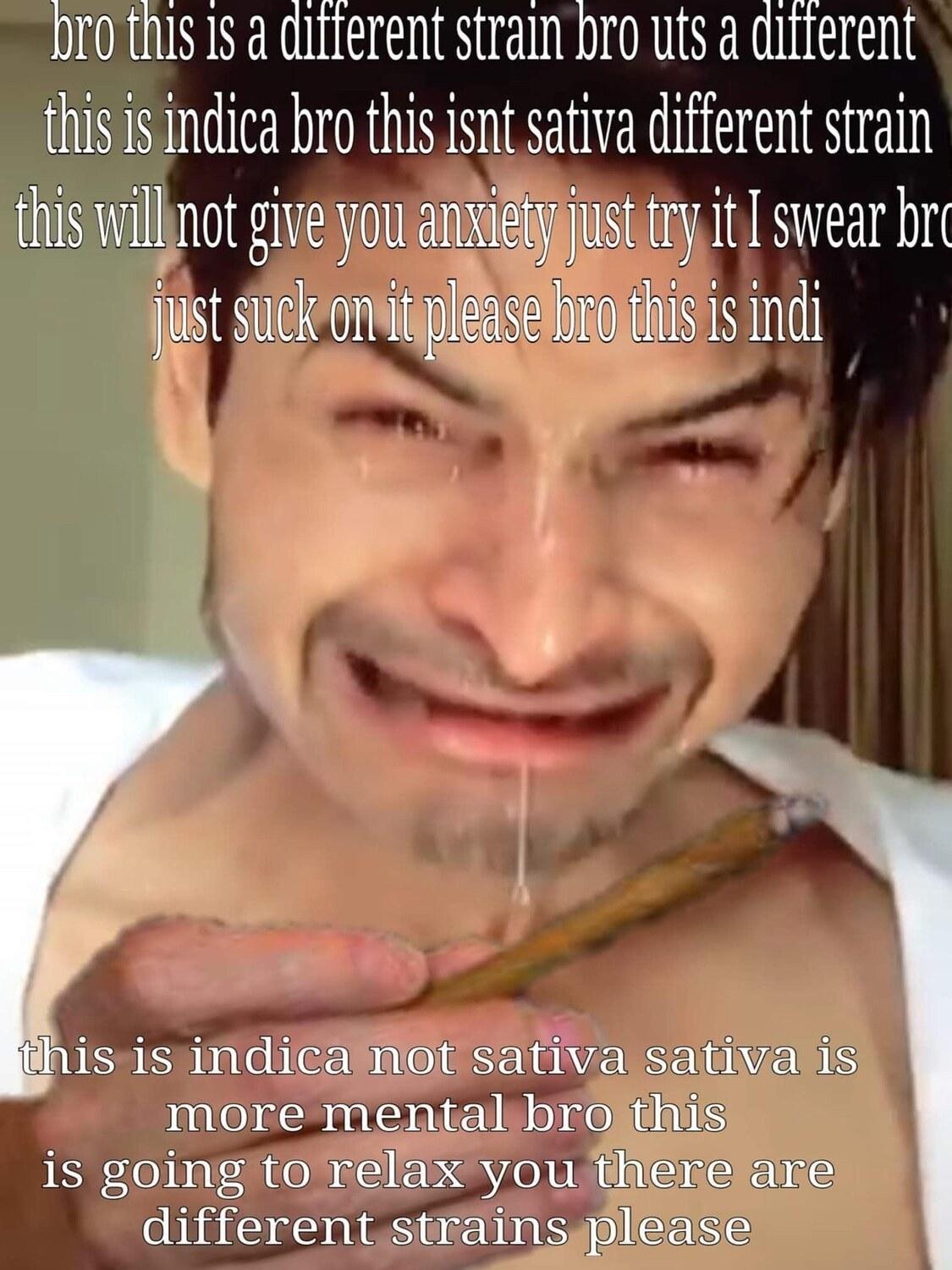 Bro Please Bro meme template blank