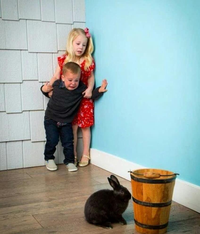 Children scared of rabbit meme template blank