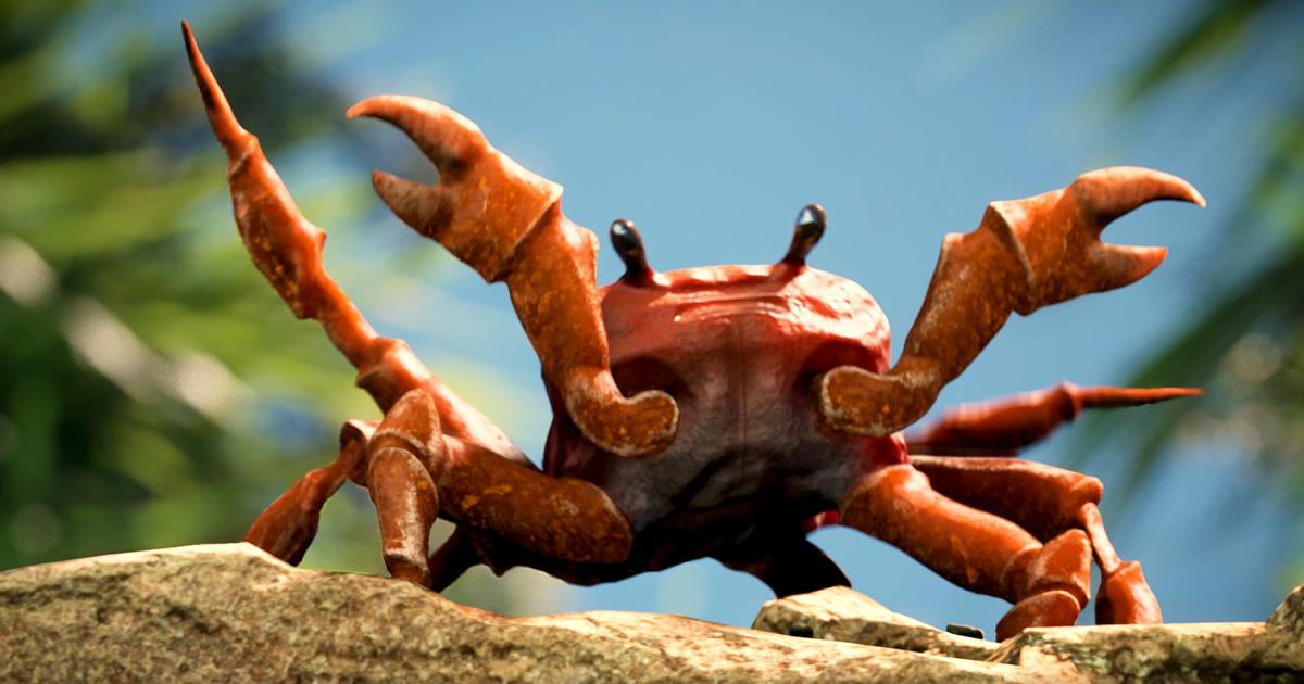 Crab Rave meme template blank