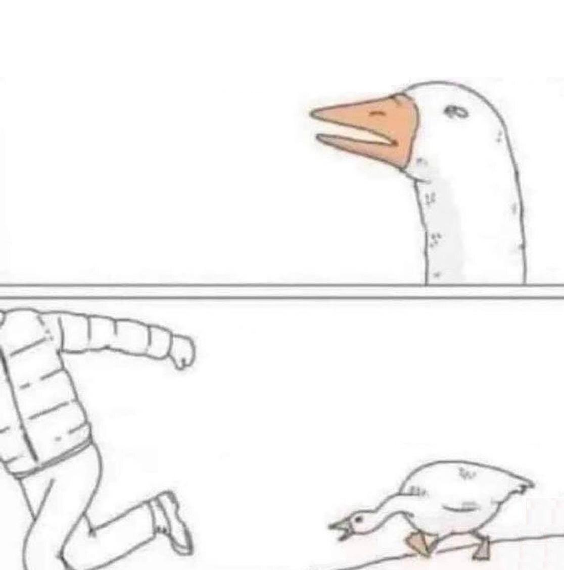 Goose Chase meme template blank