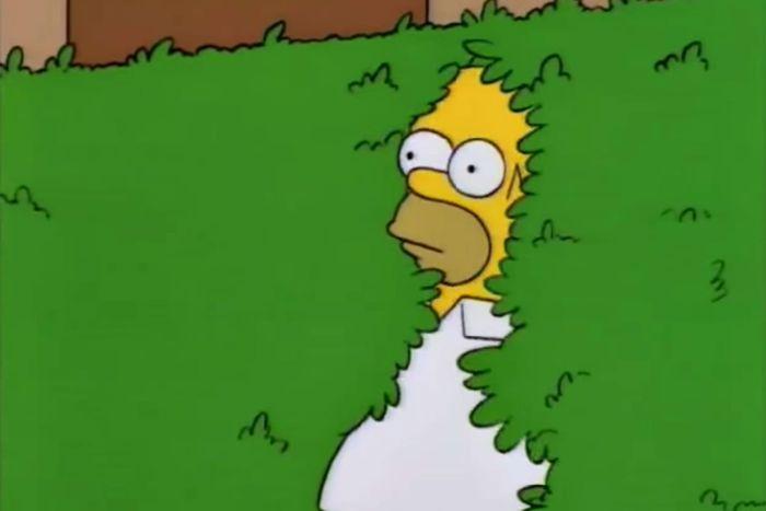 Homer Disappears meme template blank