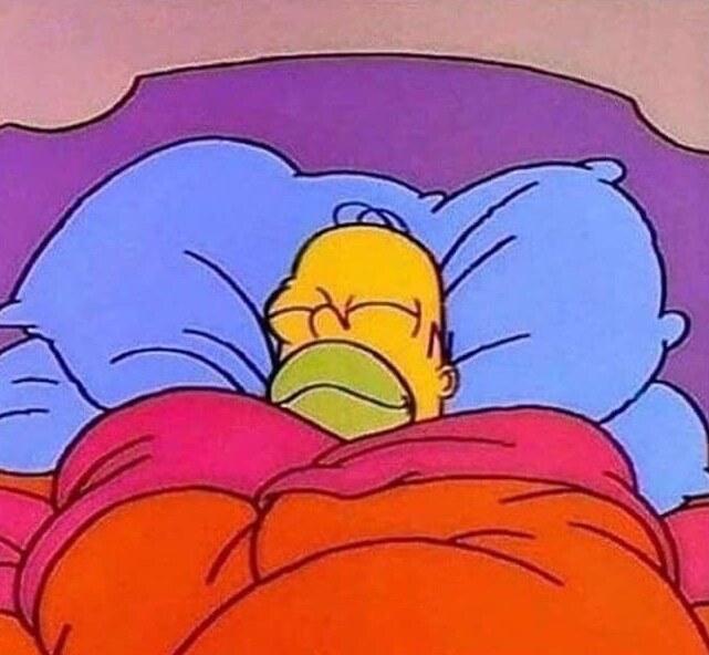 Homer Simpson Sleeping meme template blank