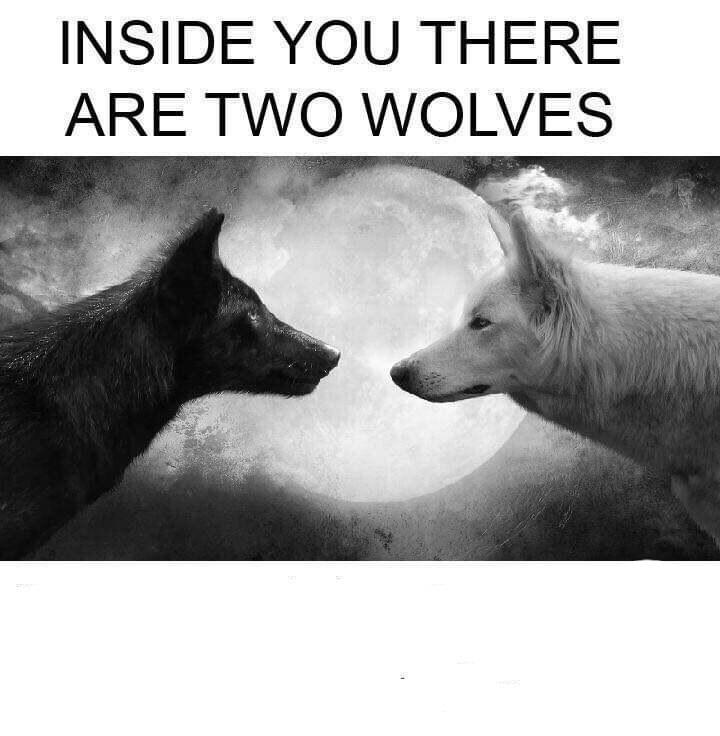 Inside you there are two wolves meme template blank
