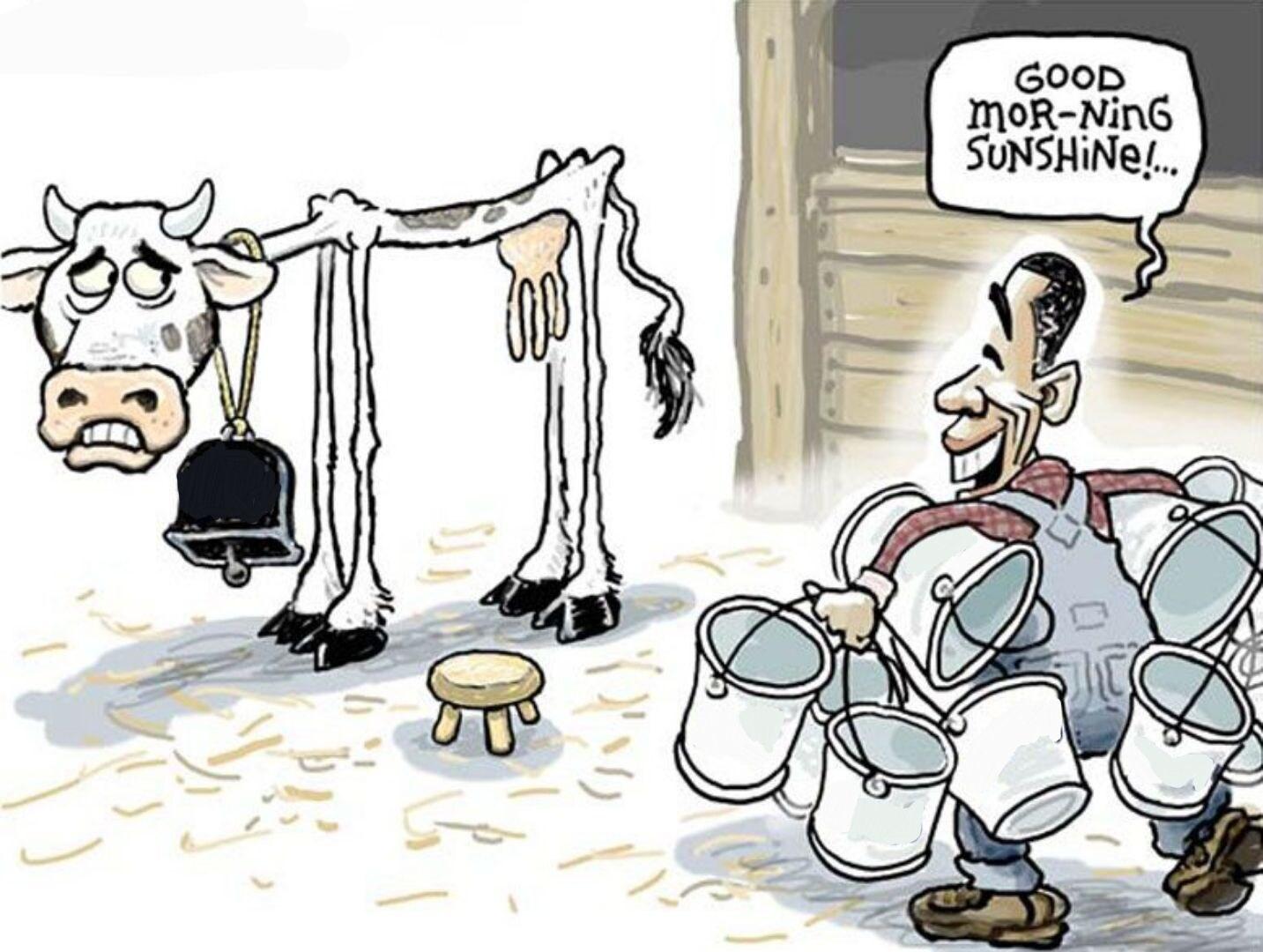 Milking the Cow meme template blank
