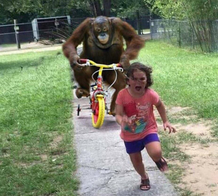 Run! meme template blank