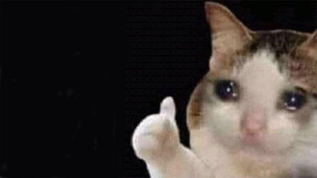 Sad Thumbs Up Cat meme template blank