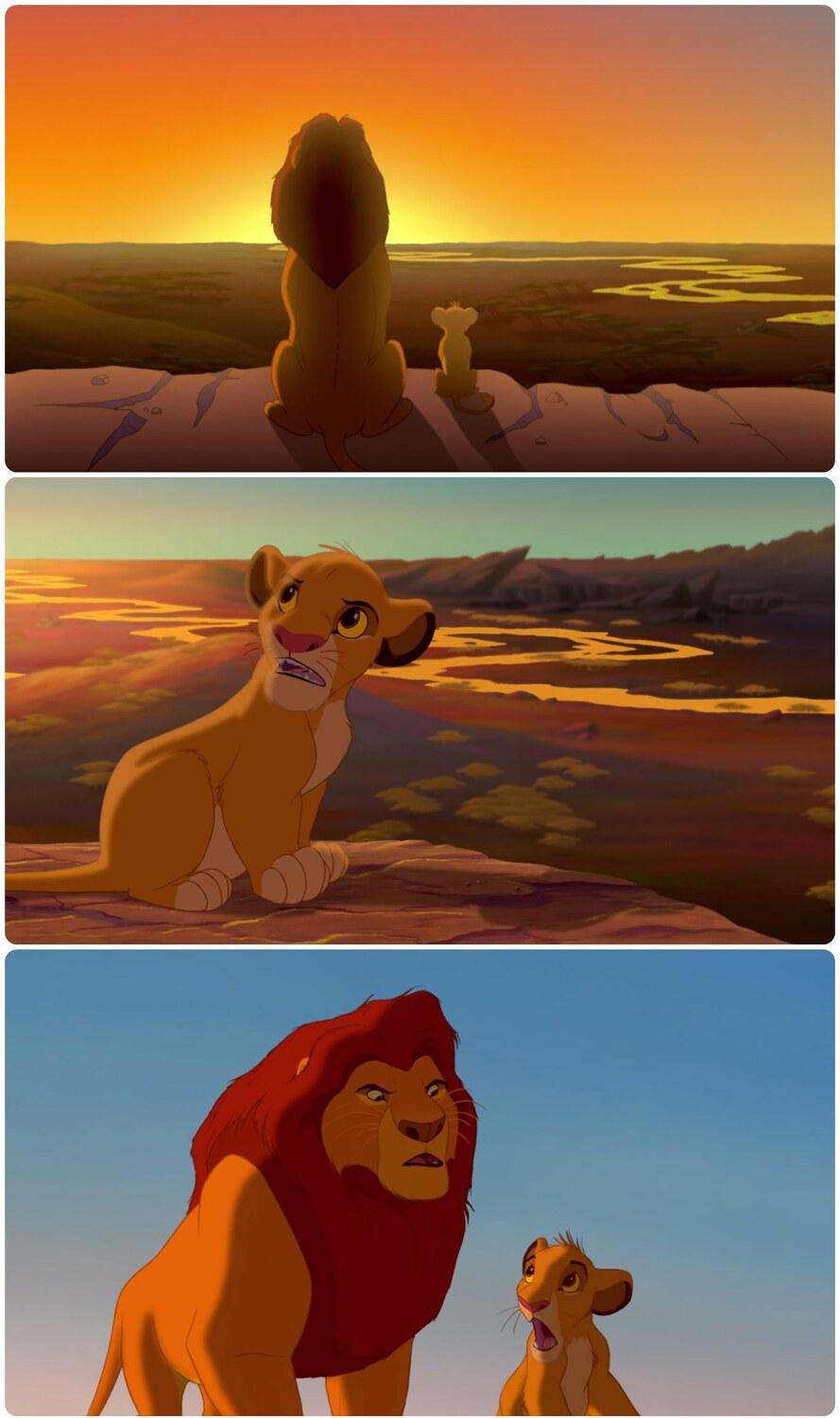 Simba Shadowy Place meme template blank