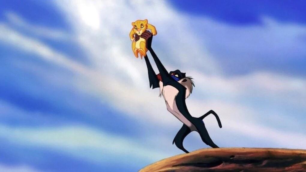The Circle of Life meme template blank