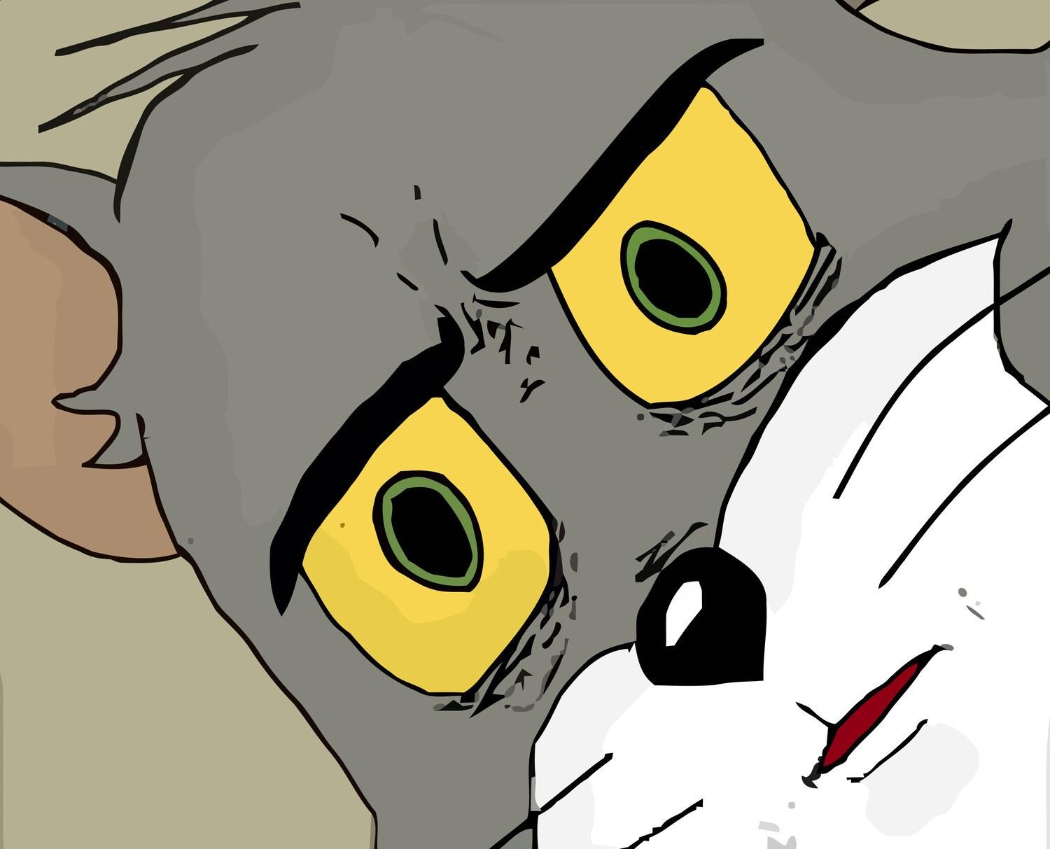 Unsettled Tom meme template blank
